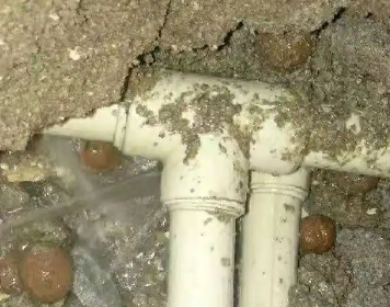 铁山港测漏水多少钱