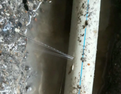 铁山港测漏水哪家好