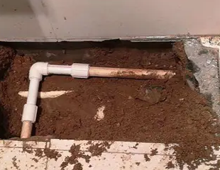 铁山港测漏水哪家好