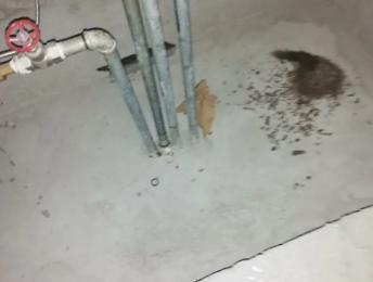 铁山港卫生间测漏水价格明细