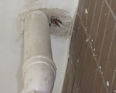 铁山港漏水检测哪家好